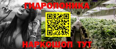 тгк Камышлов