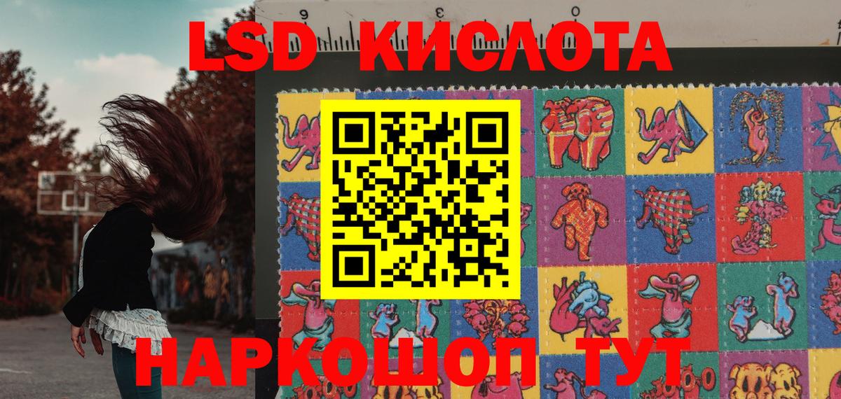 Галлюциногенные грибы Можайск