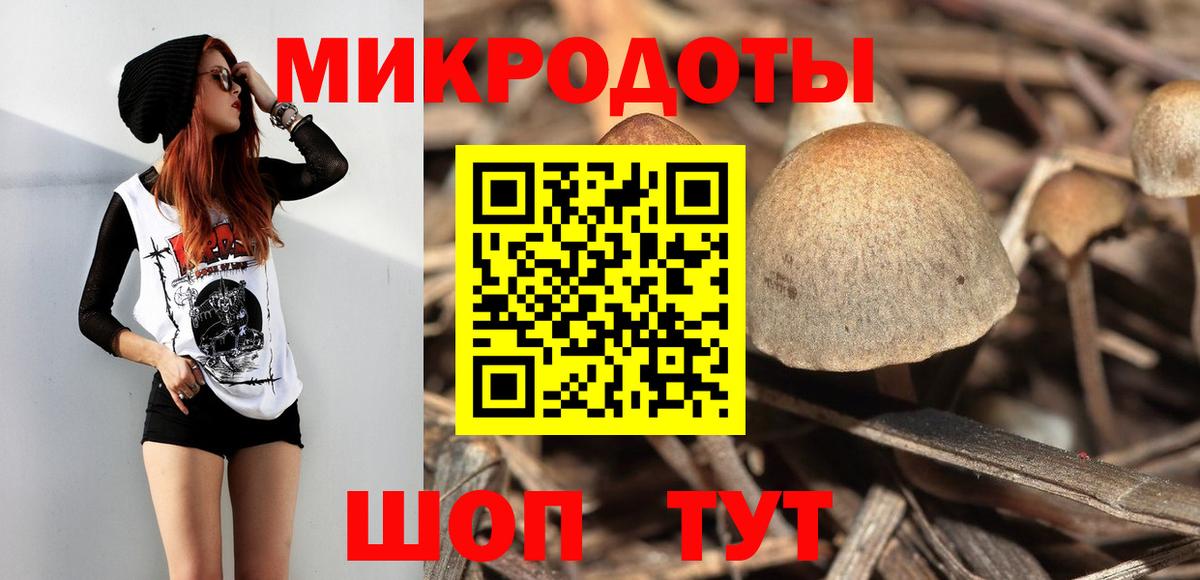 Можайск  Галлюциногенные грибы GOLDEN TEACHER  Вход с VPN  Галлюциногенные грибы GOLDEN TEACHER 